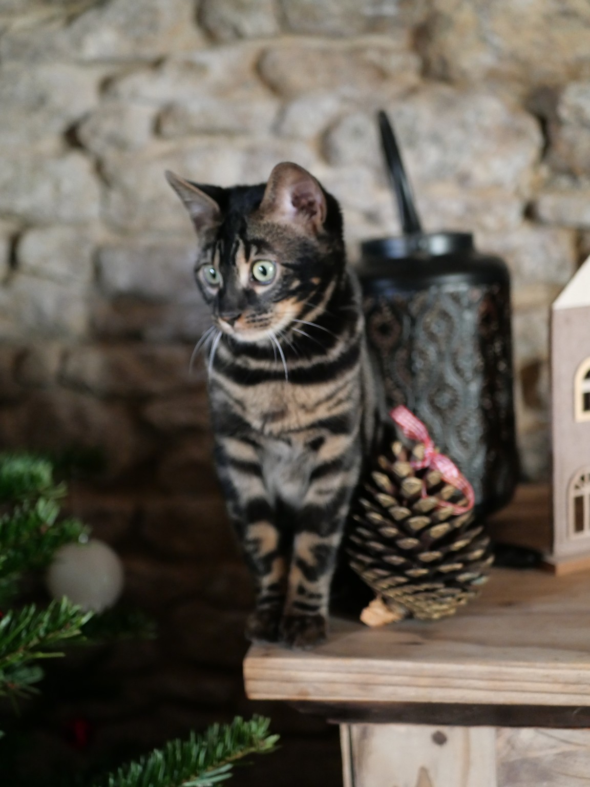 Petit explorateur
