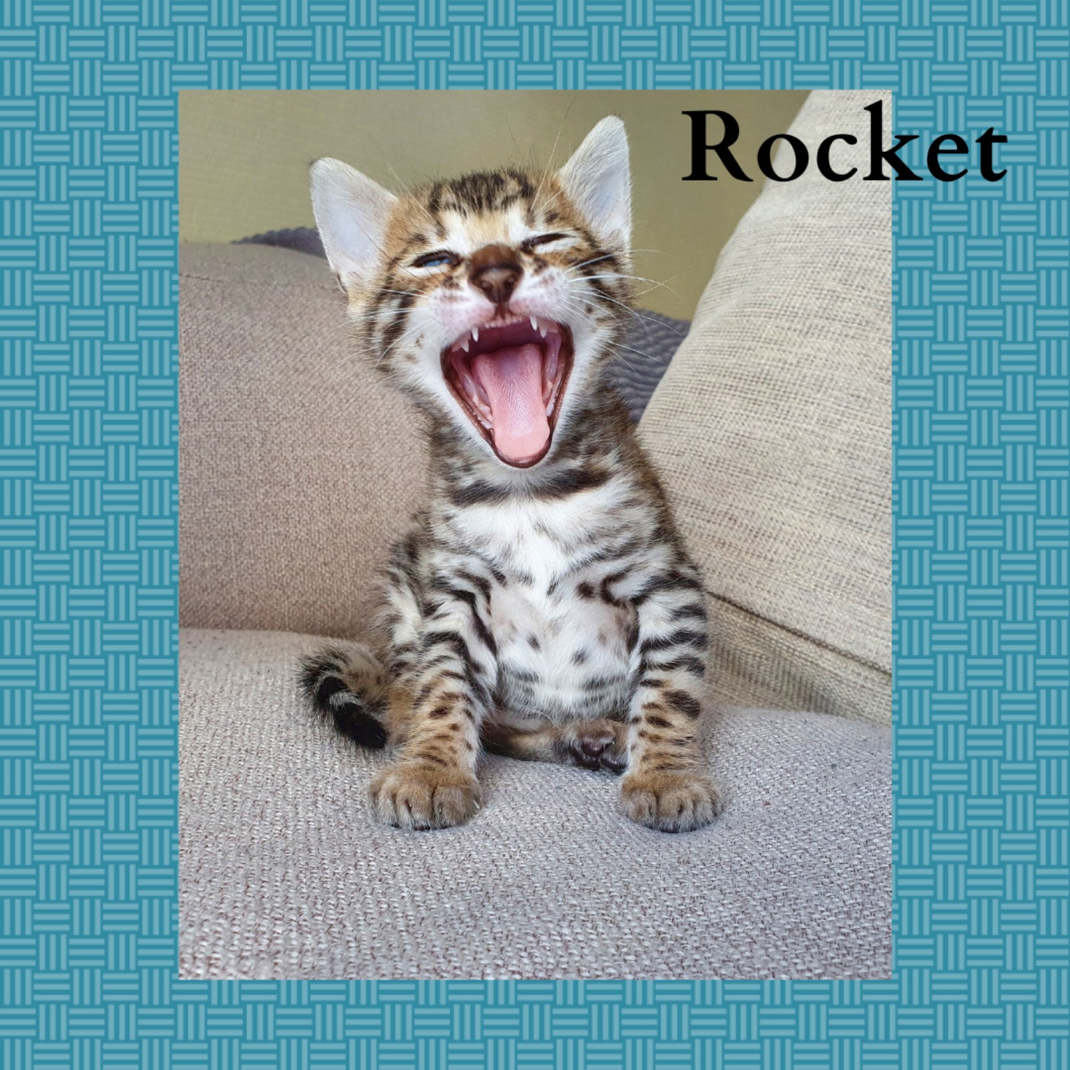 Rocket